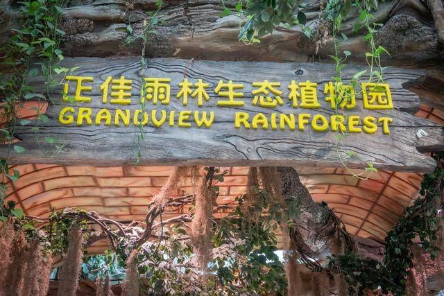 国内首家室内空中雨林生态植物园，开在广州市中心，比长隆还好玩