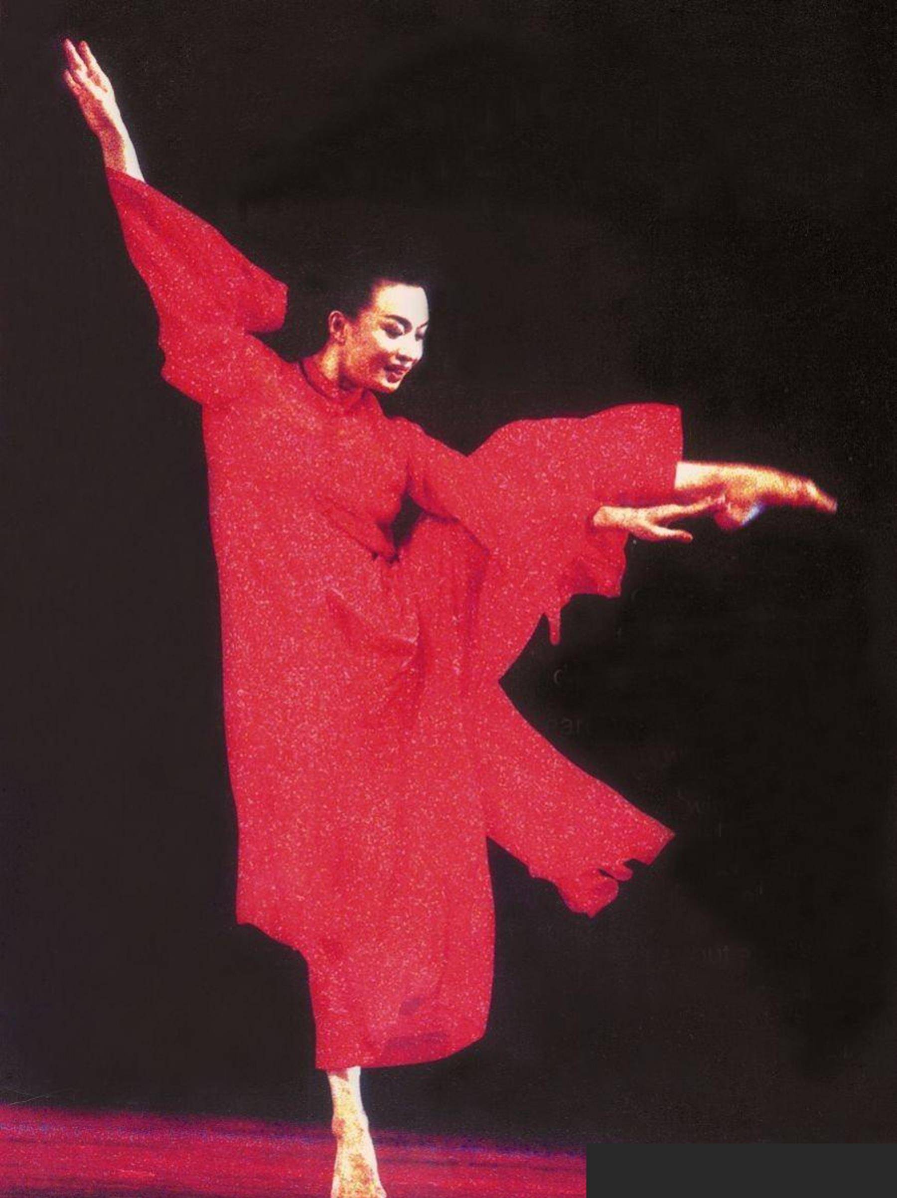 1994年春晚金星舞蹈图片