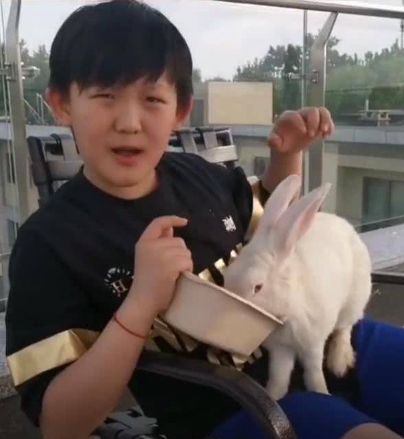 这并不是杨子睿第一次出现在杨志刚的视频当中,此前杨志刚还曾晒儿子