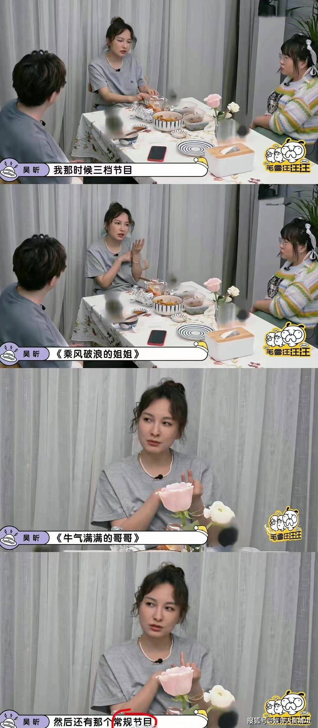 杜海涛依旧停工_李维嘉_节目_毛雪