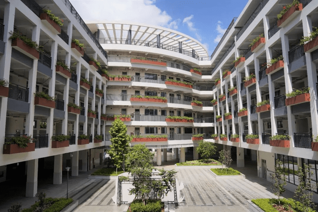 鲤跃龙门梦寐以求的南科大附中你想知道的都在这里