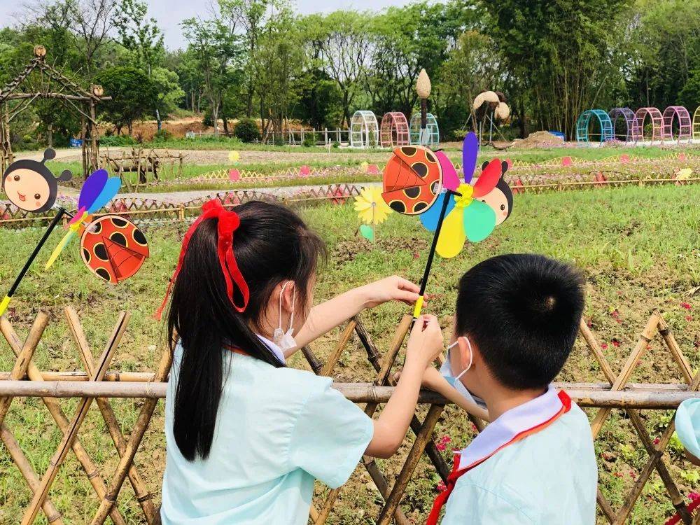种苗,填土,浇水……像一只只勤劳的小蜜蜂,忙碌地穿梭在田间地头