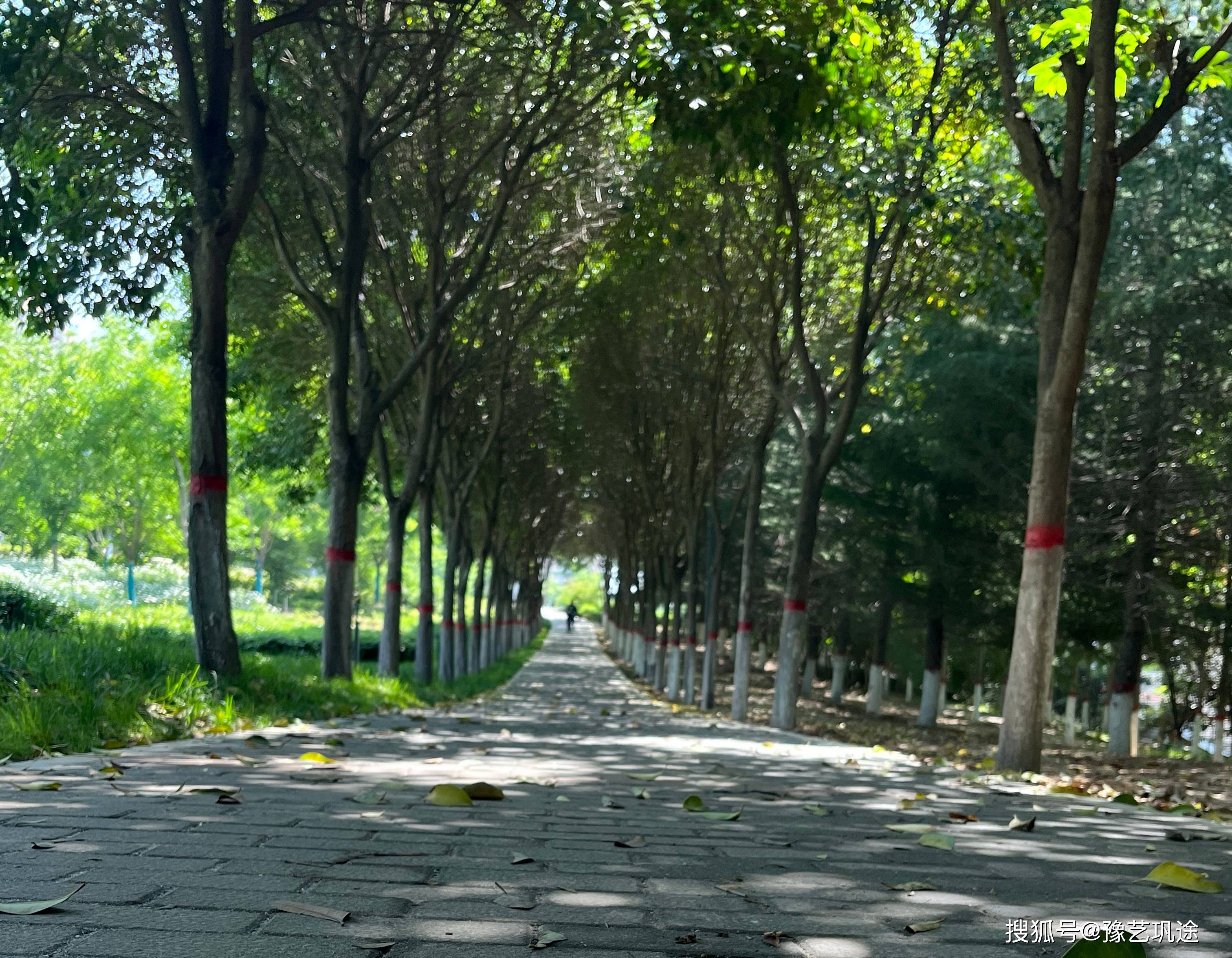 巩义石河道公园的早晨