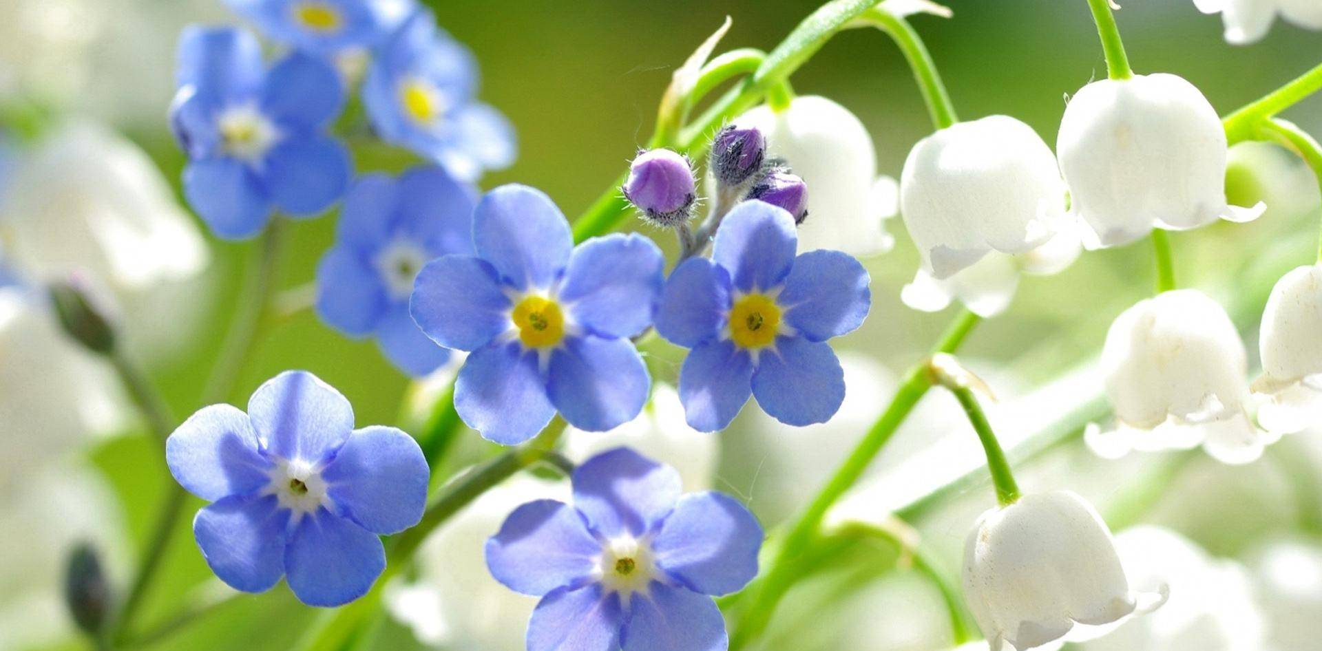 白羊座特辑 吃软不吃硬 千万别惹她 让白羊妈妈消气的妙招是 孩子 性格 爸爸