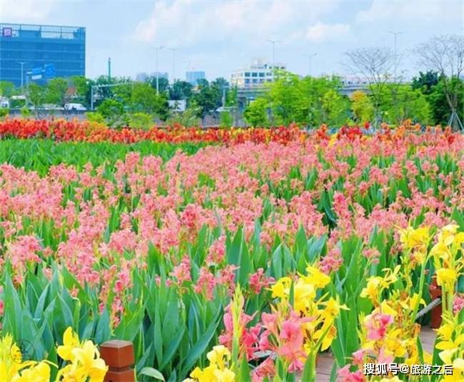 深圳有几个湿地公园，适合五一结束后游玩，人少景美还有花香