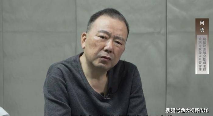 "何勇是四川西充人,公开简历显示,他曾任重庆合川区委常委,常务副区长