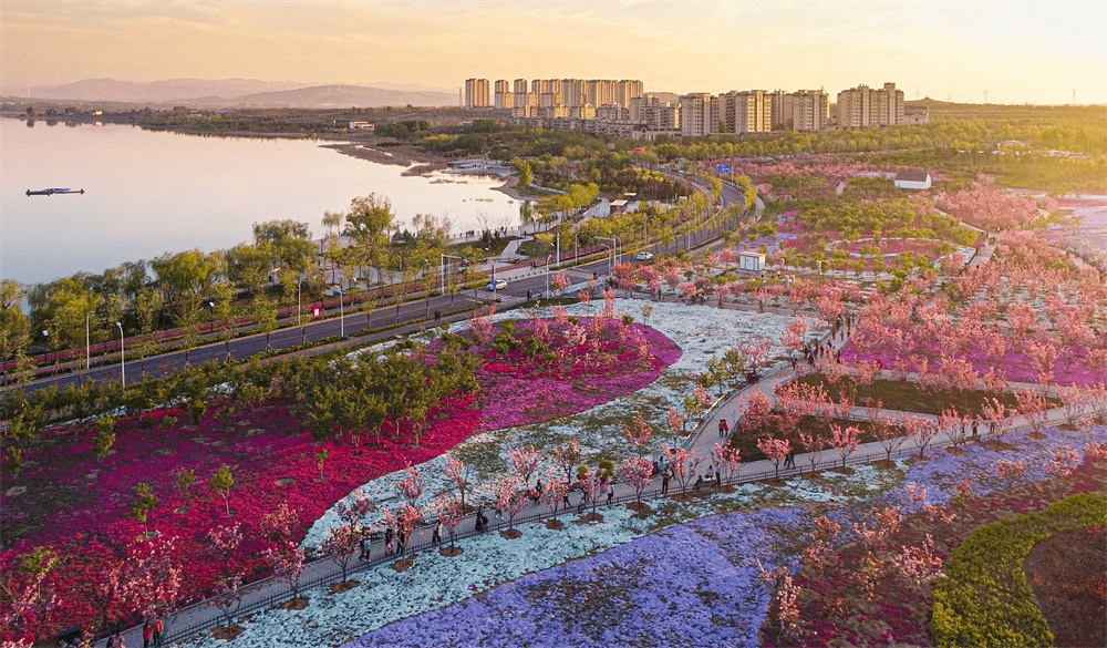 文昌湖花海位置红桥图片