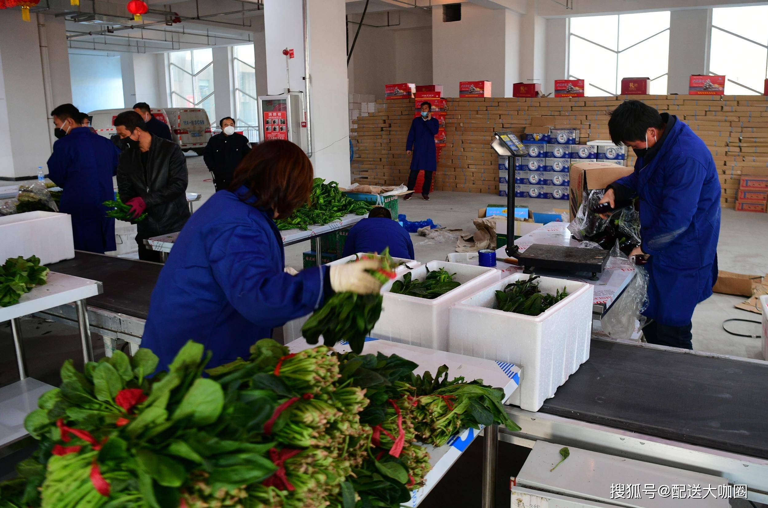 生鲜配送行业发展如此之快,县城做自营生鲜配送平台需要准备什么?