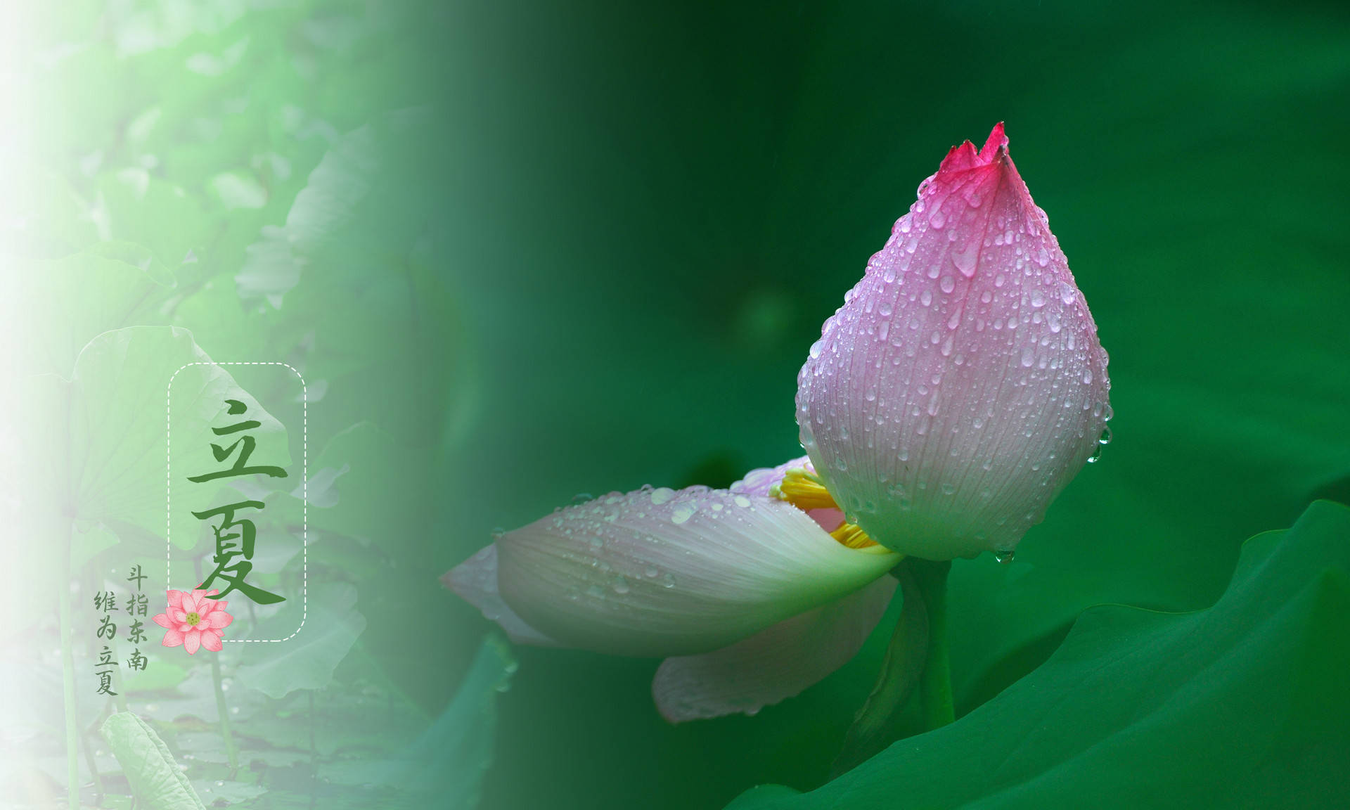 二十四节气立夏这些养生原则要知道