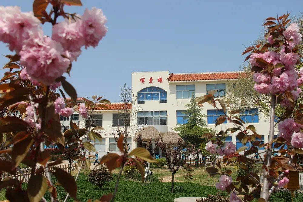 一大波春日美景"打包"给你_中小学_十五中学_春风