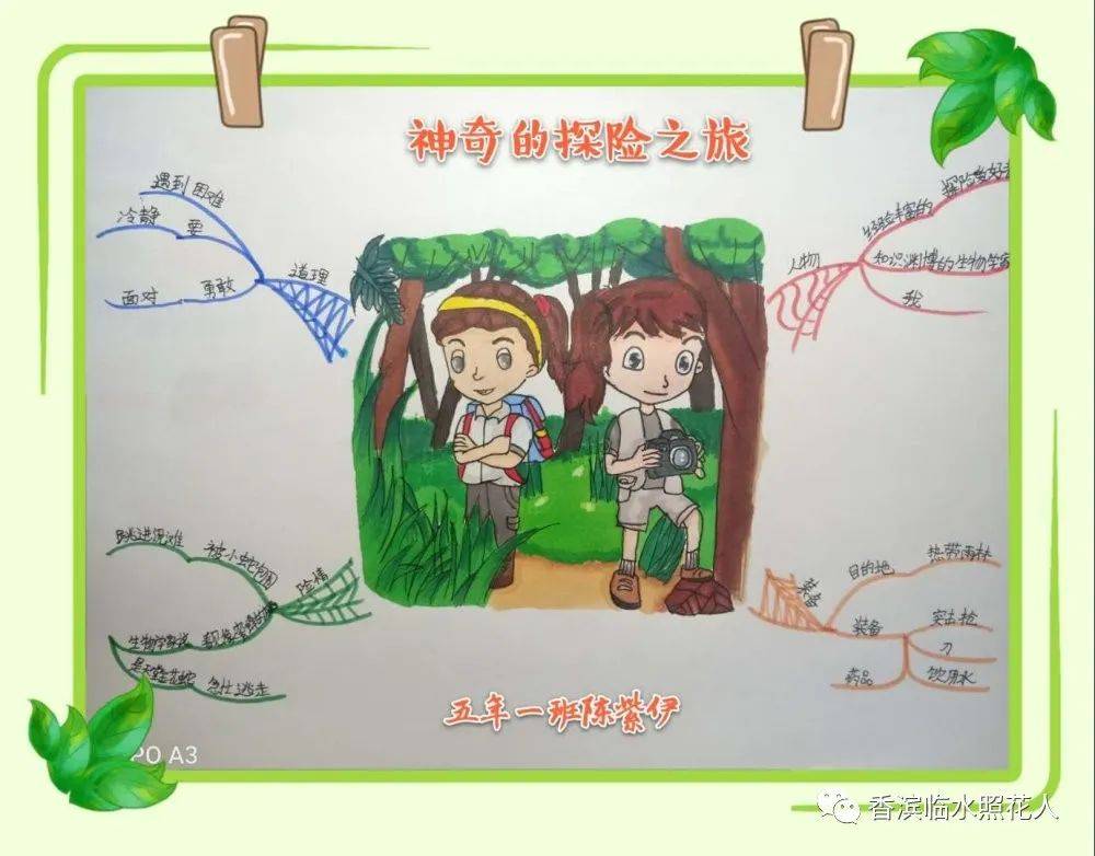 思维导图又称脑图,心智地图,脑力激荡图,灵感触发图,概念地图,树状图