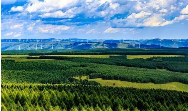 塞罕坝,曾经是一片荒漠,沙尘漫天的不毛之地.