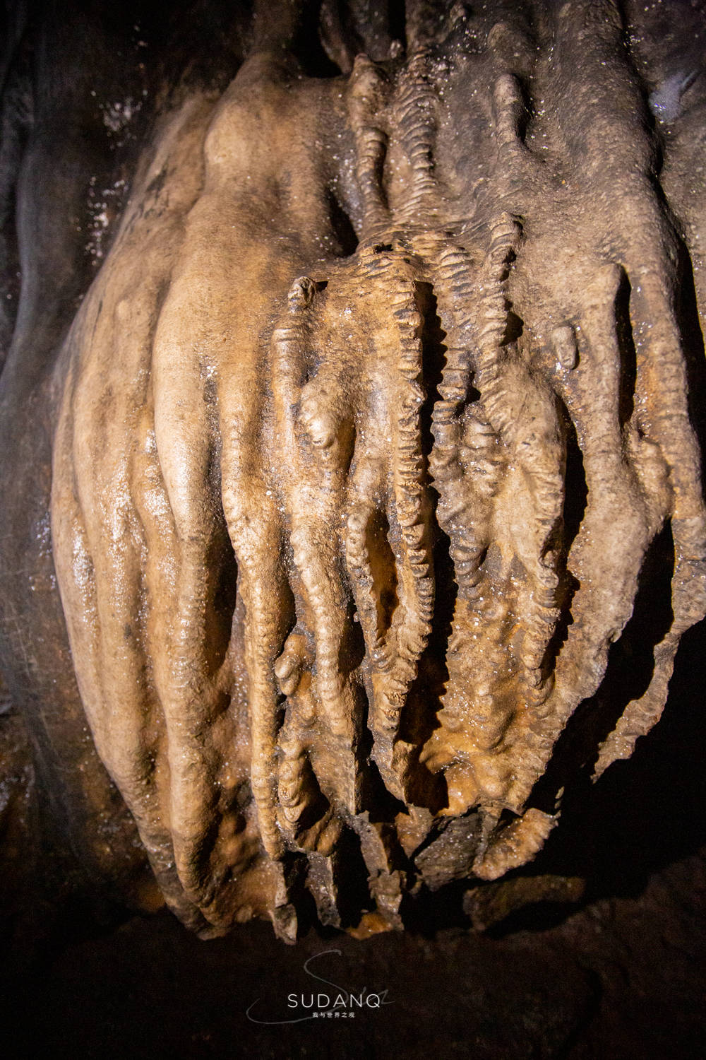 洞内石壁上有不少钟乳石,形状奇异,有的像鹰爪.