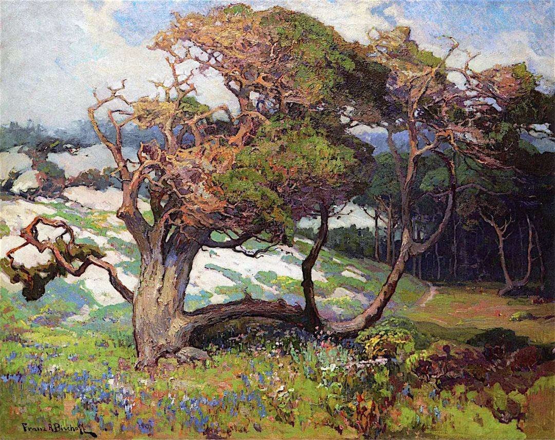 大胆色彩的运用生动的构图和煦阳光温暖惬意的风景作品太美了