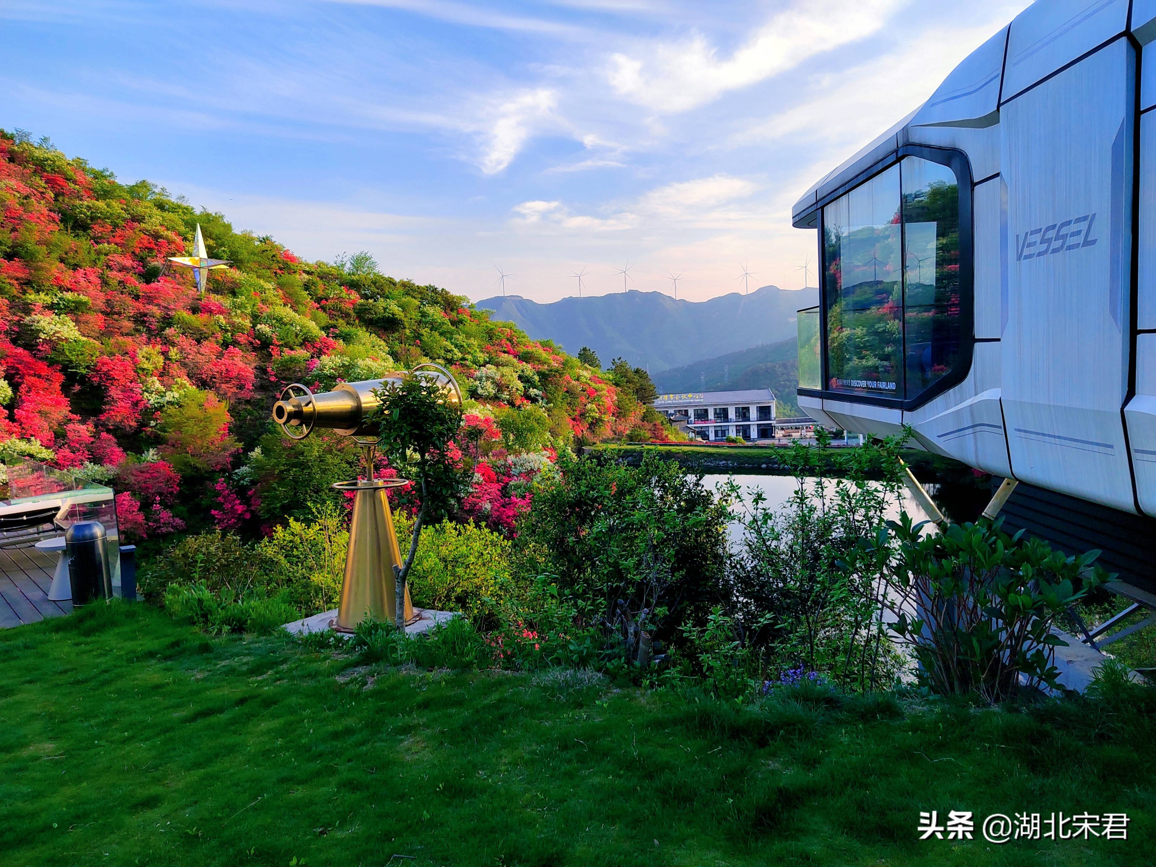 这里民宿的房间是这样的太空舱,舱外有无边泳池,还有漫山遍野的花