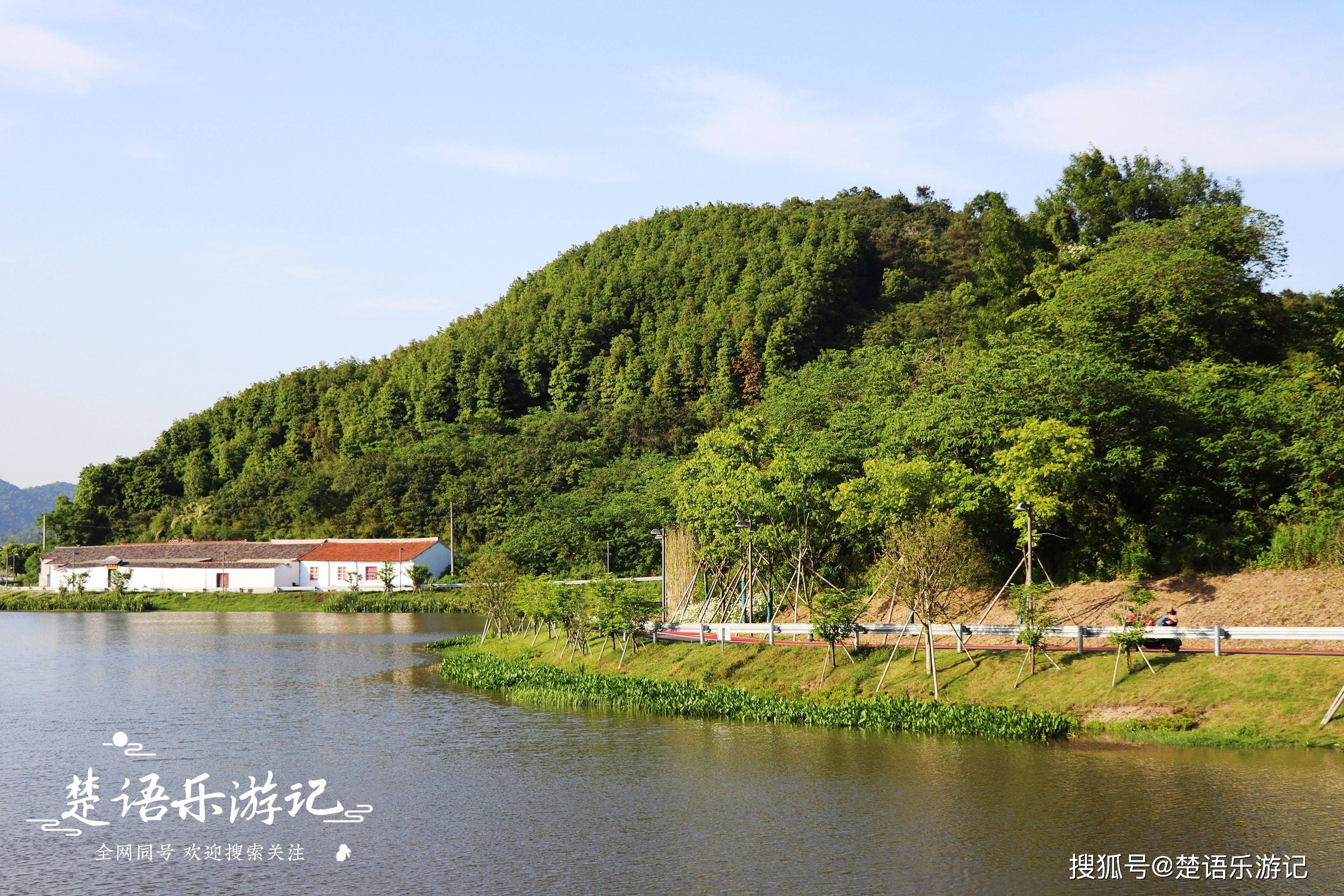 宁波这座山开满小雏菊,因风景太美成为网红打卡胜地,真的太美了