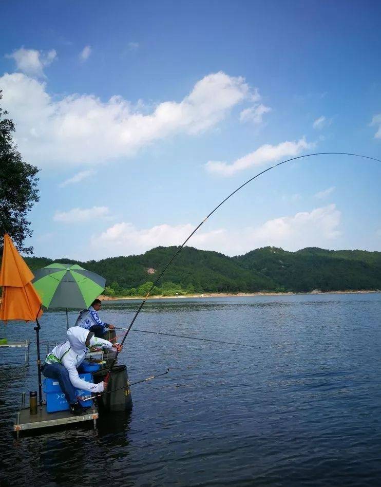 初學釣魚的小白不要有以下觀念不然釣魚就是在燒錢