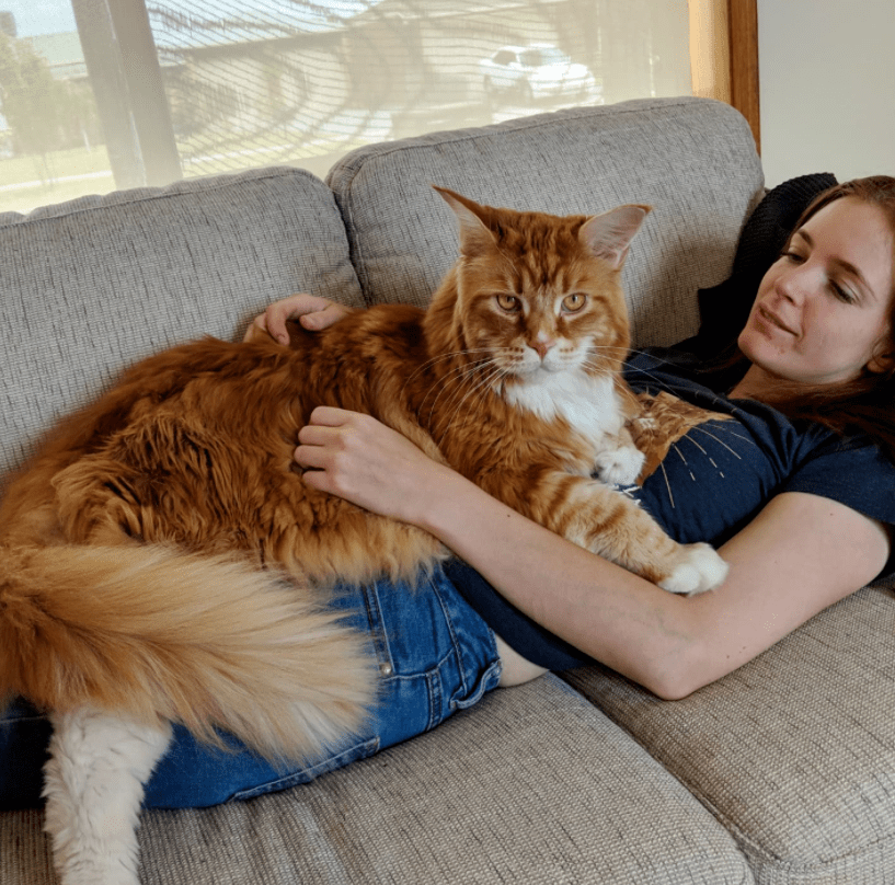 猫咪_史黛菲_狗狗