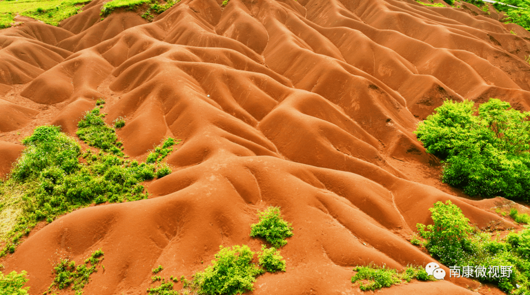 距离赣南大道1公里,兰屋组因自然风华形成了极有特色的满山"红砂岭"