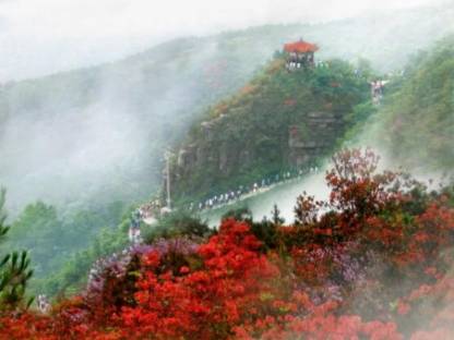 浪漫旅行从丹寨杜鹃花节开始