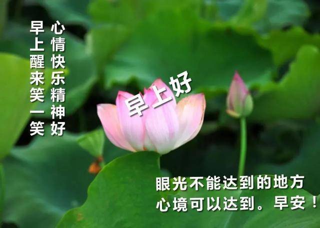 原创早上好愿你今天有个好心情早安精选祝福词句温馨祝福带字励志图片