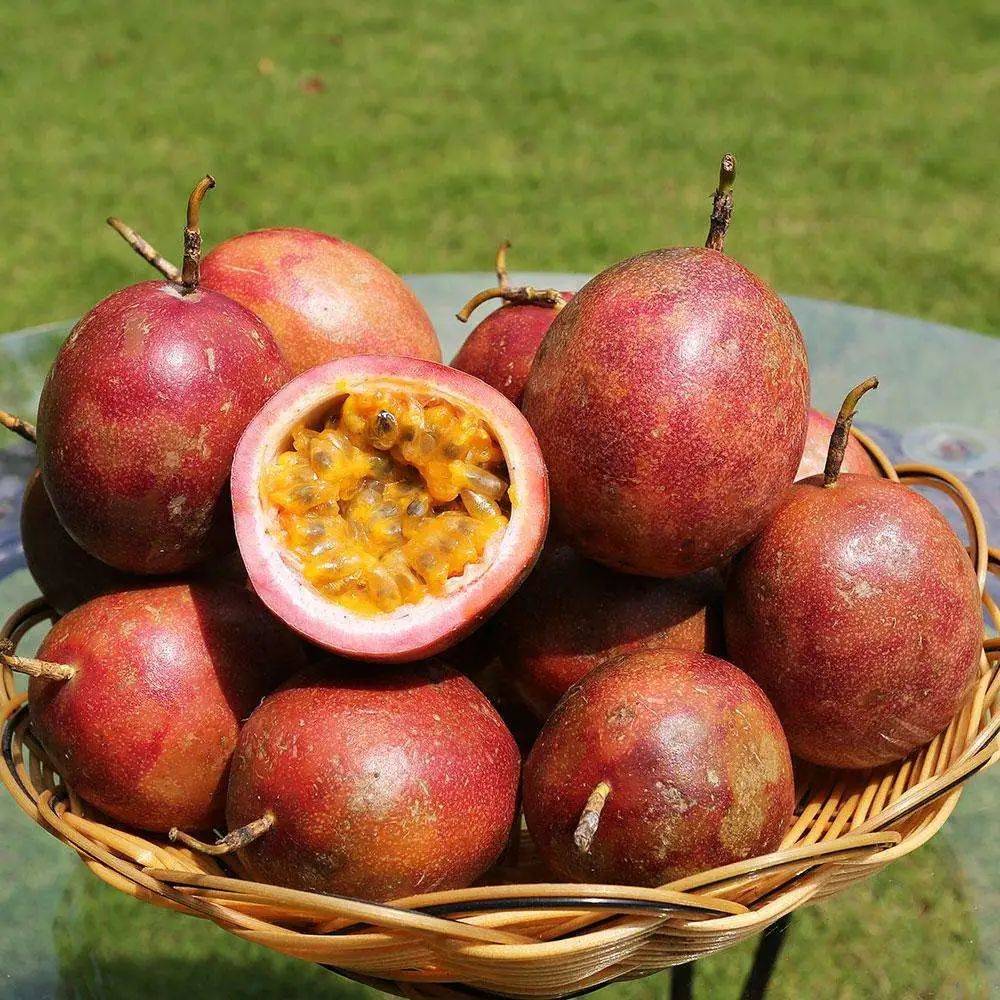 北流百香果吃一次就爱上