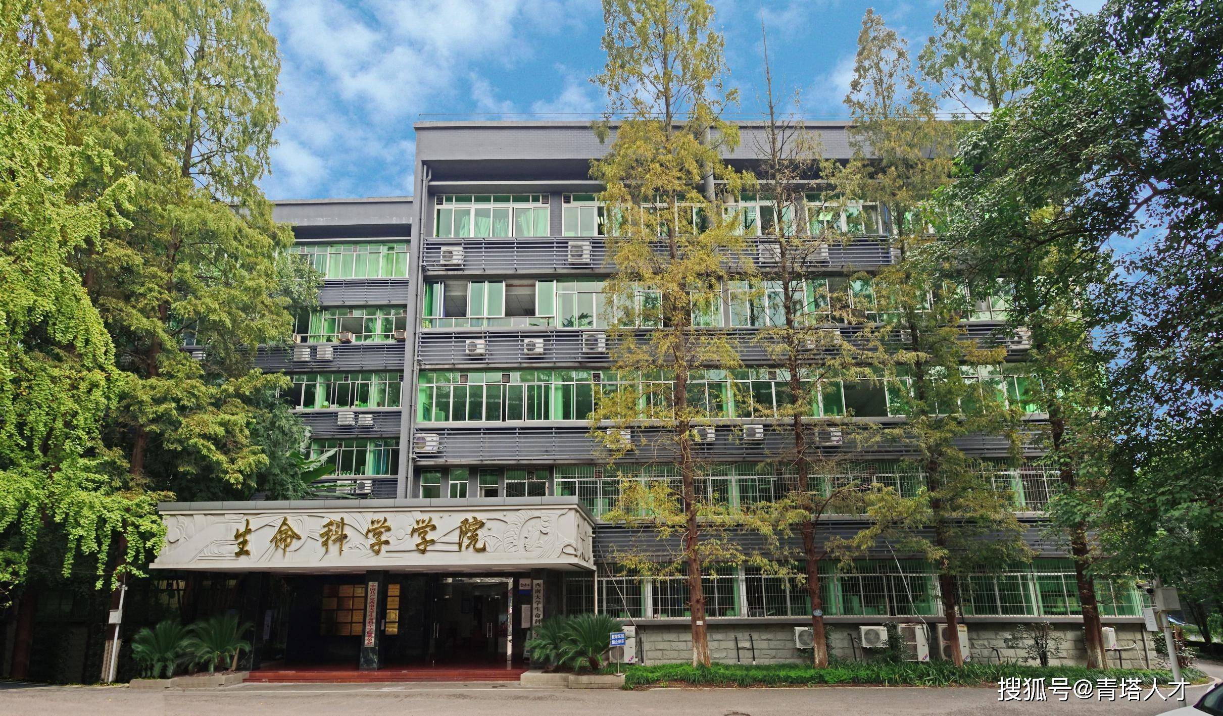 博士求職|西南大學生命科學學院教師招聘啟事_建設_學科_重慶市