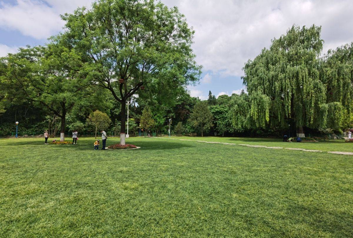 坚持"疏林草地 缀花草坪"的现代园林建设理念,对6处绿地进行了品质