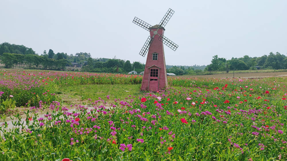 "目前,我们建设形成了握野村露营基地,百花乐园赏花胜地,王家大院四