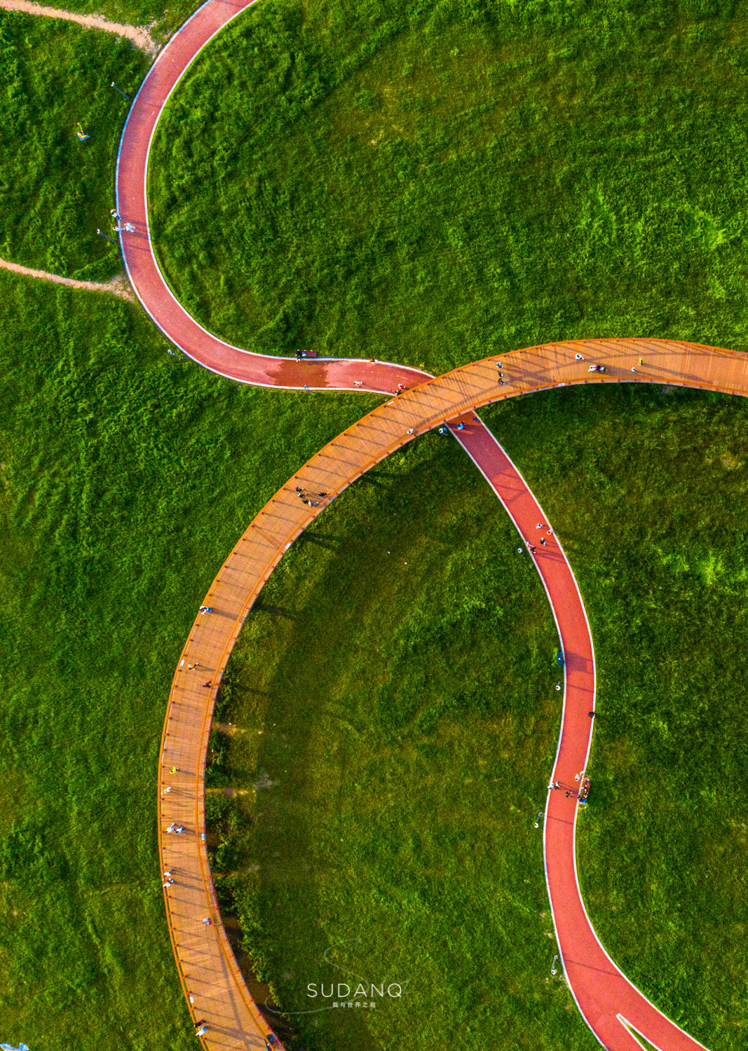 原创武汉江滩独具特色打卡白沙洲的江滩公园建有江城最长樱花大道