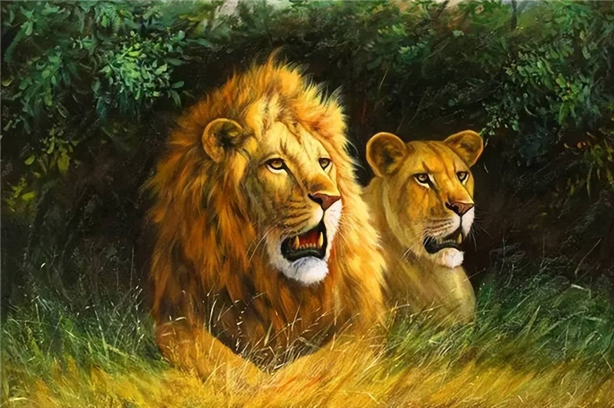 原创老虎和狮子谁更凶猛汉朝皇帝曾组织两场狮虎斗结果一致
