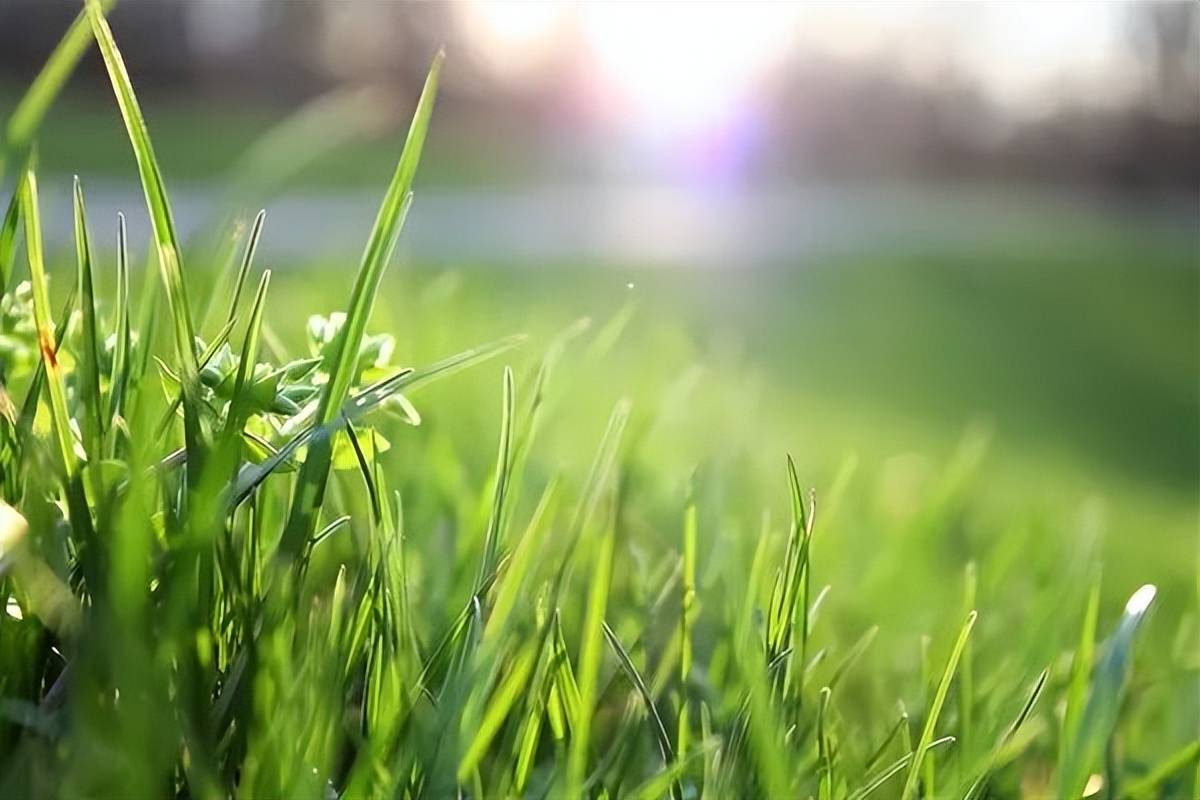 5月12日·上海要闻及抗击肺炎快报