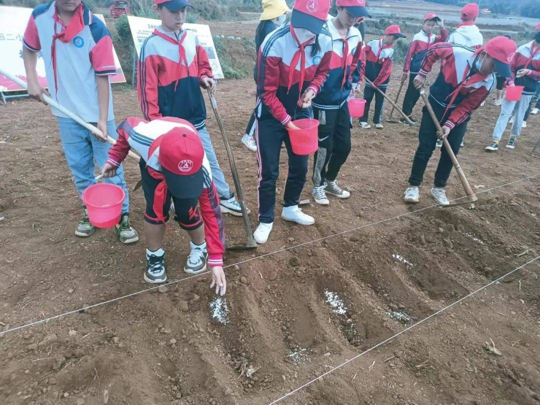 嵩明县嵩阳二小校外劳动实践基地在普渡社区揭牌