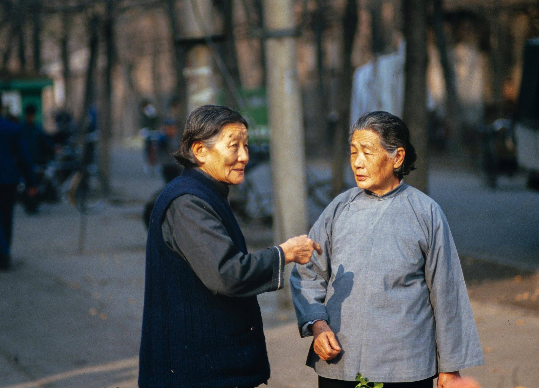 来了一车陌生人,吃光我家3头猪,就剩下蛋的母鸡没杀_院子_莽子_婆娘