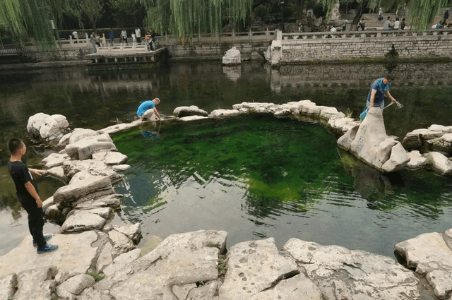 济南有一小众公园火了，风景不输大明湖，门票免费却鲜有人知