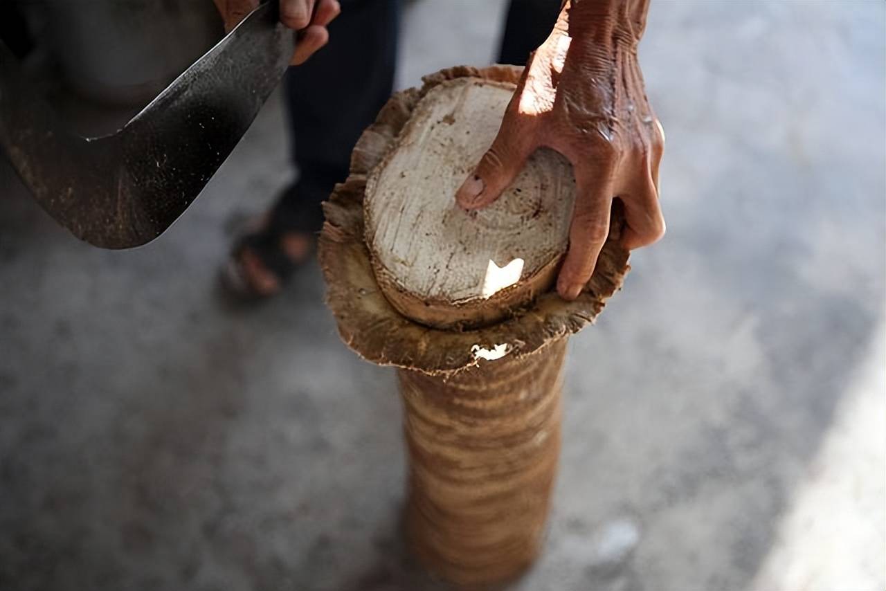 原创
西双版纳有一种“谜”样的树皮衣,可是想做一件衣服,却挺不容易