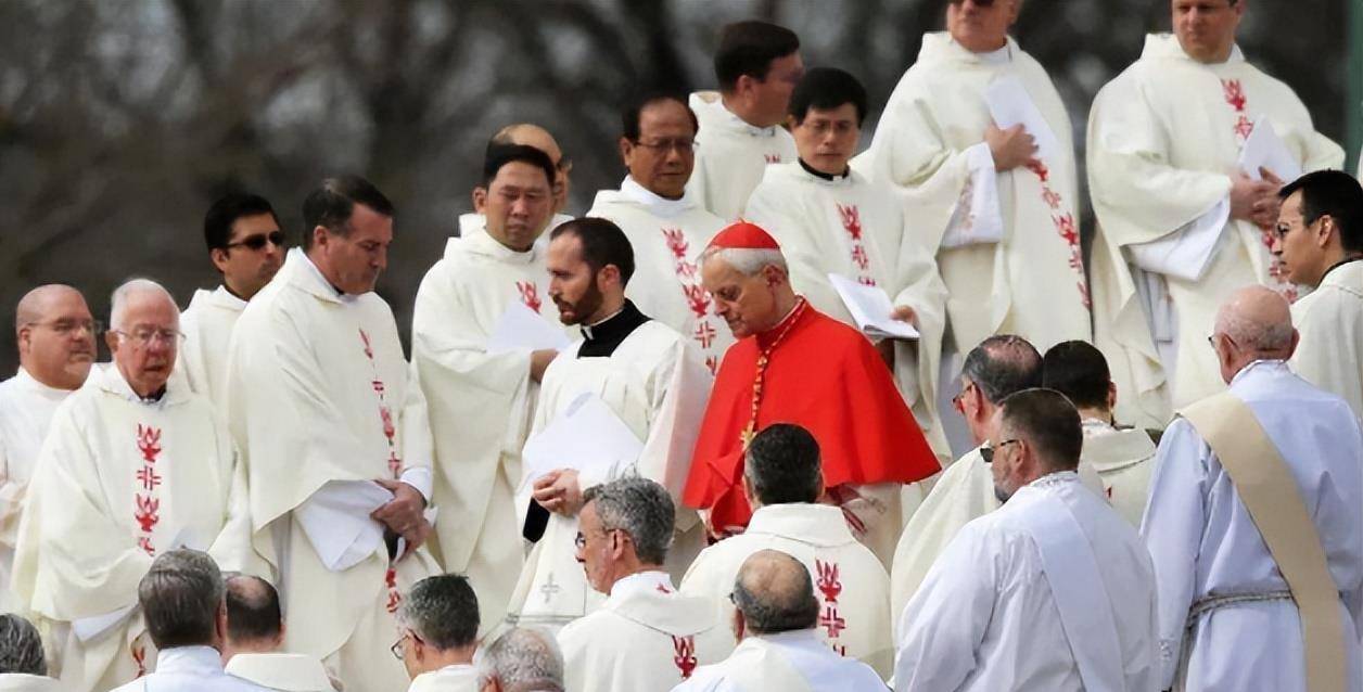 天主教神职人员这种情况的出现,结合了历史因素和宗教因素,在欧罗巴