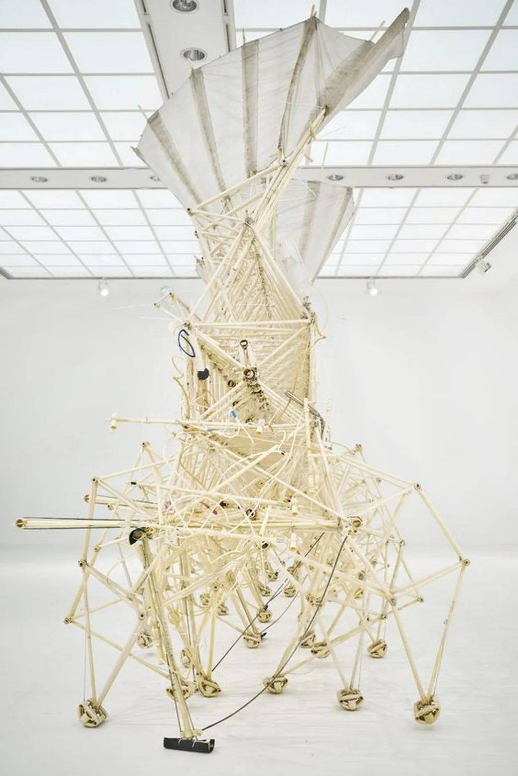 而它们体内也没有任何电力或者能源驱动装置,只要有风,你便能见到它们