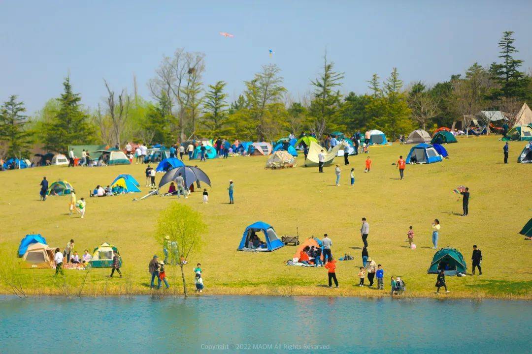 没有一个烟台人能逃得过"露营"!_大海_沙滩_植物园
