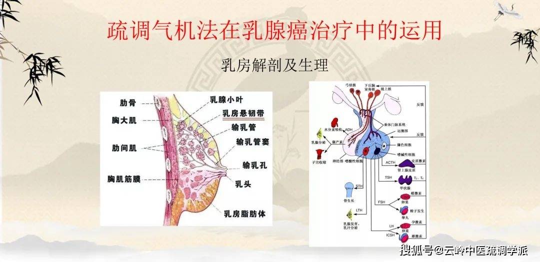 疏调云讲堂第九十期疏调气机法在乳腺癌治疗中的运用一