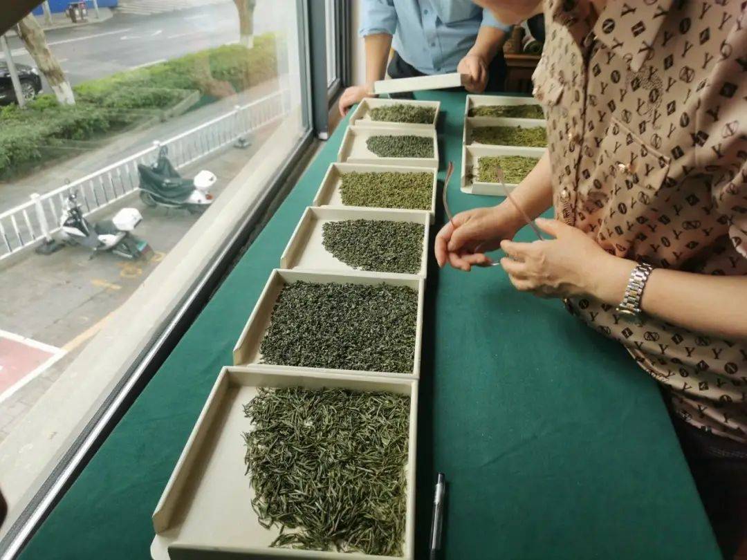 诸暨西施石笕茶凭实力夺魁