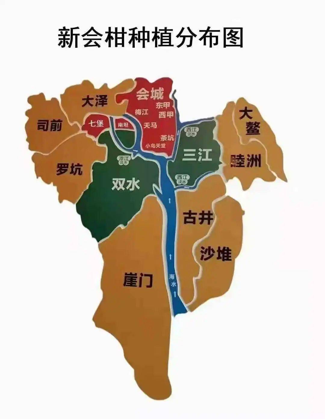 新会陈皮产区地图图片