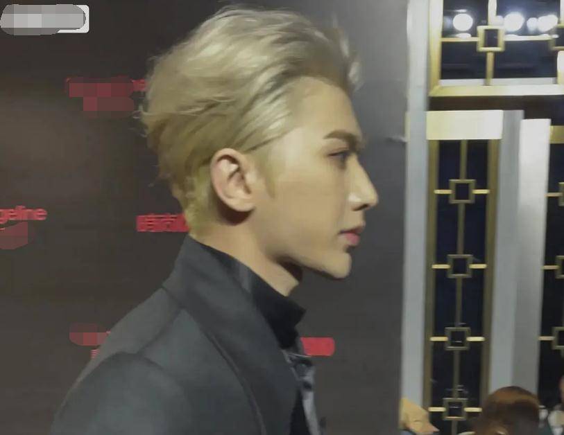 原创蔡徐坤时尚盛典翻车脸型太尖像美型漫画新发色显黑发际线过低