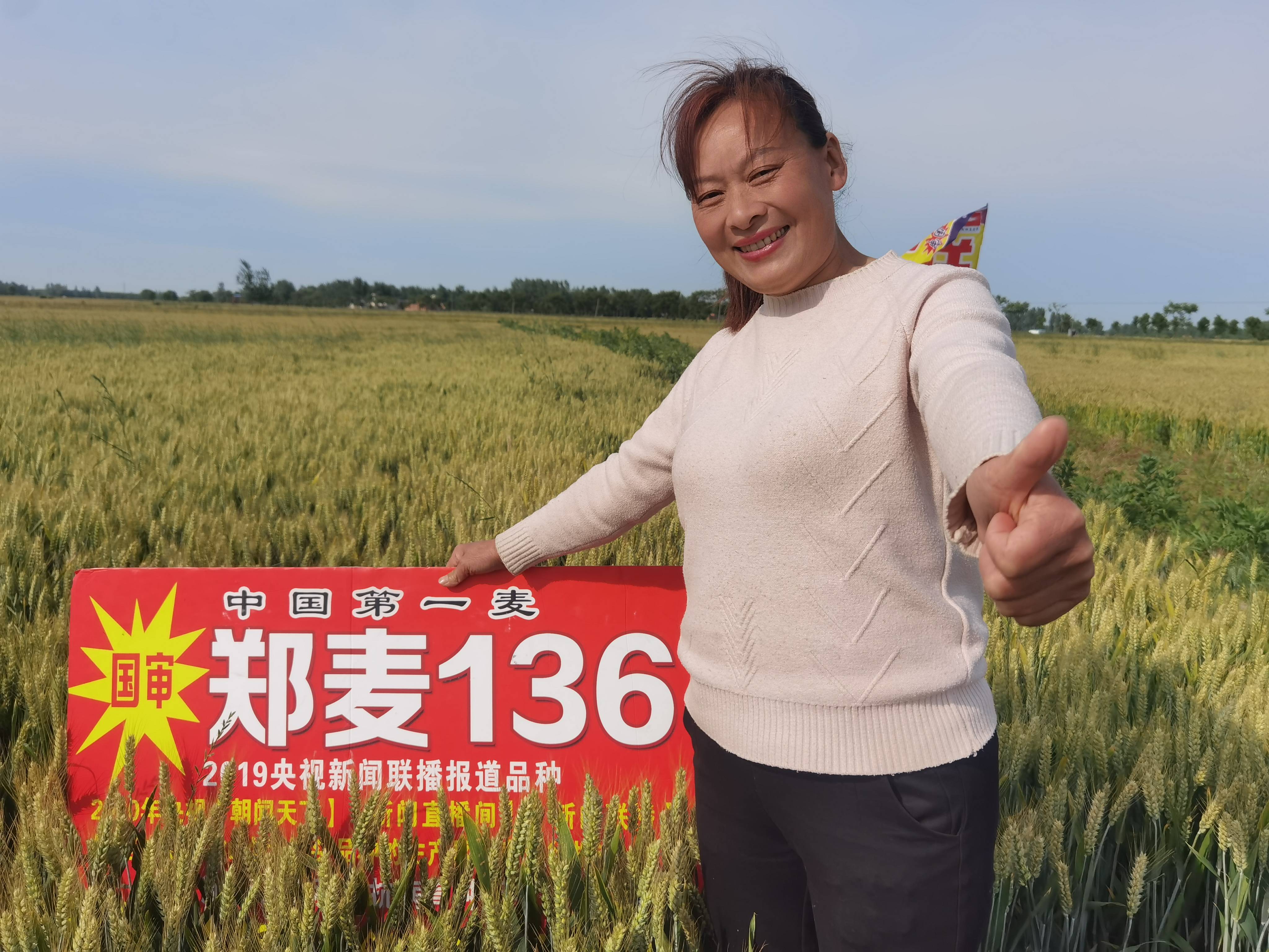 邓州云志种业在都司镇举办郑麦136农民观摩会