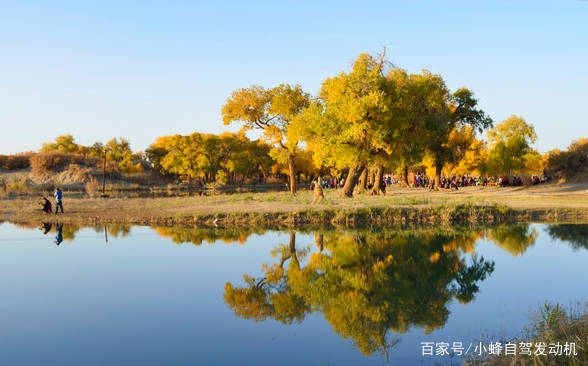 额济纳胡杨林景区再升级，实在太美了，美得让游客们流连忘返