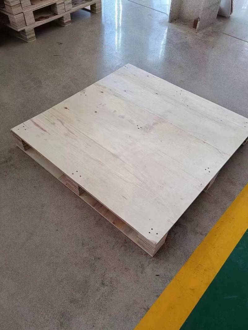 防蚊新宠：为何防蚊闸已成为家庭防护的首选