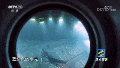 长江水下40米的博物馆长啥样？网友：有被震撼到！