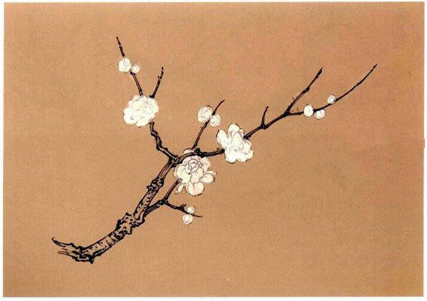 梅花工笔画法步骤图示_枝干_使其_白粉