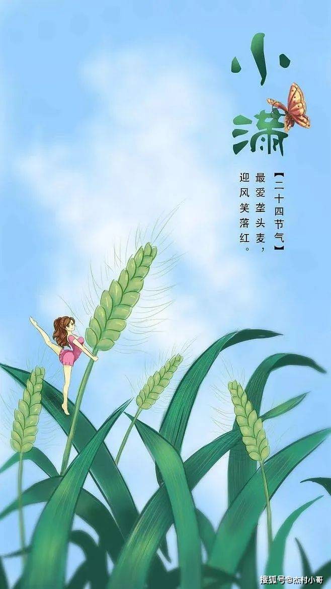 原创二十四节气小满祝福唯美图片小满节气祝福语文案
