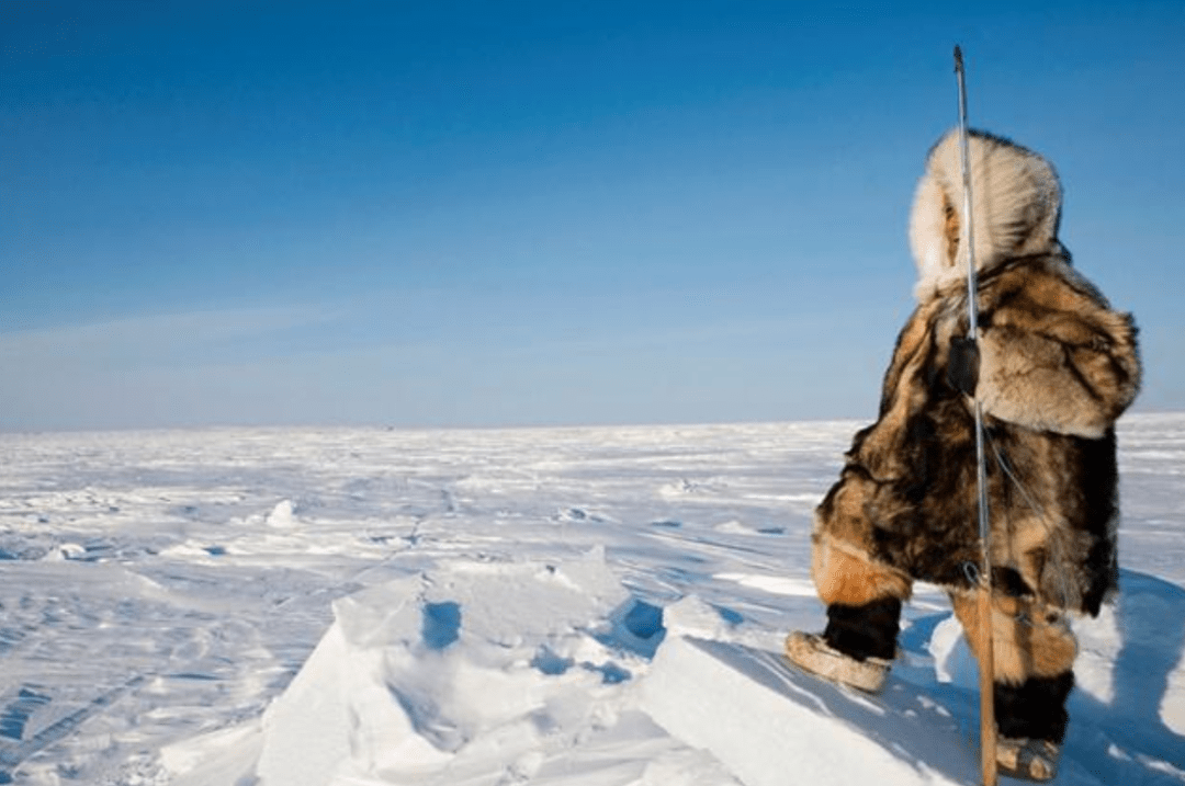 原创因纽特人几乎一辈子都吃生肉原因何在基因变异还是另有原因